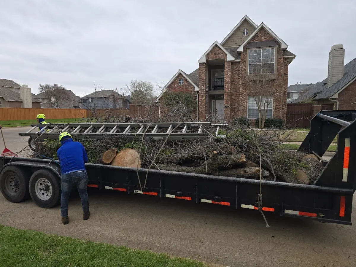 Expert Lot Clearing with proper safety equipment in Clearville